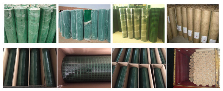 PVC Plastic Coated Welded rigid Aviary Wire Mesh Hutches Coop---2" x 2" x 60m long