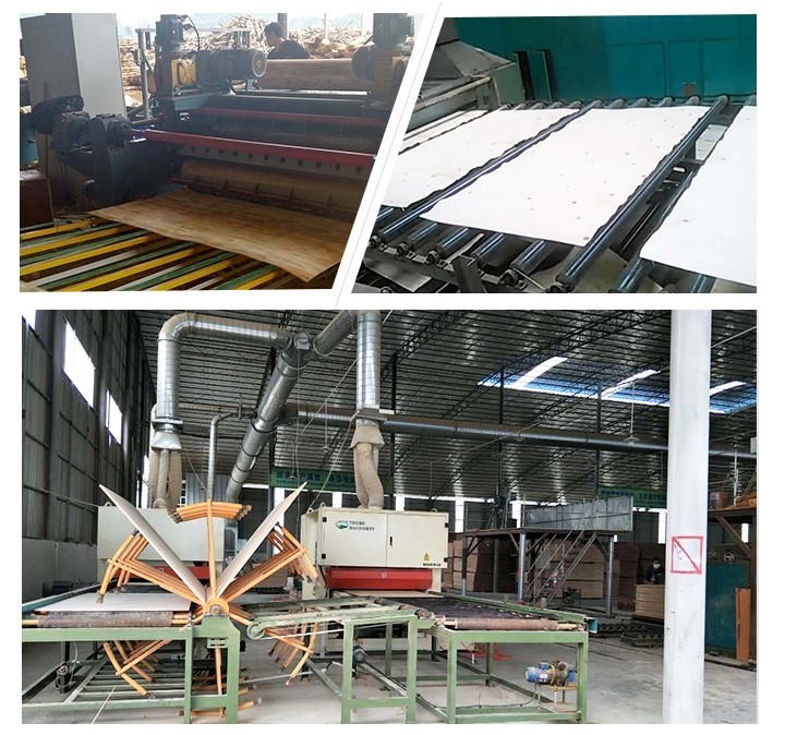 Big Size Pattern Hardwood Core Plywood , Antislip Film Face Ply For Stage