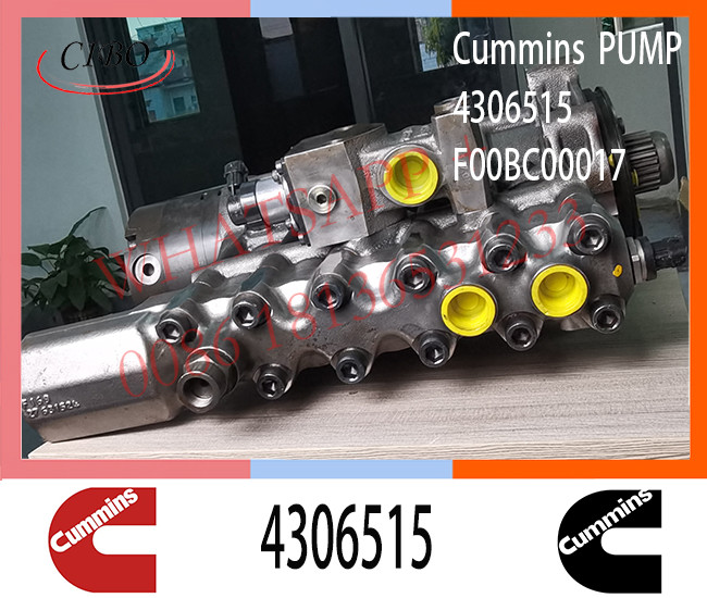 4306515 QSK60 Engine Injection Pump 2881172 2888798 3972815 5264246