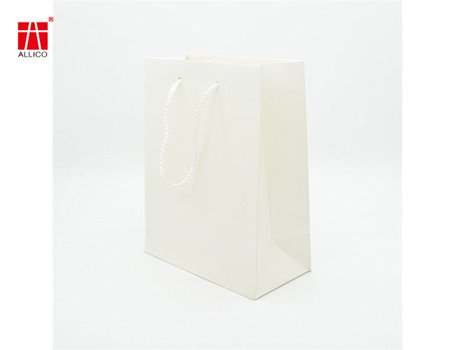 Custom Logo Gift Bag Glossy Clothes Retail Shopping Paper Bags With Rope Handles