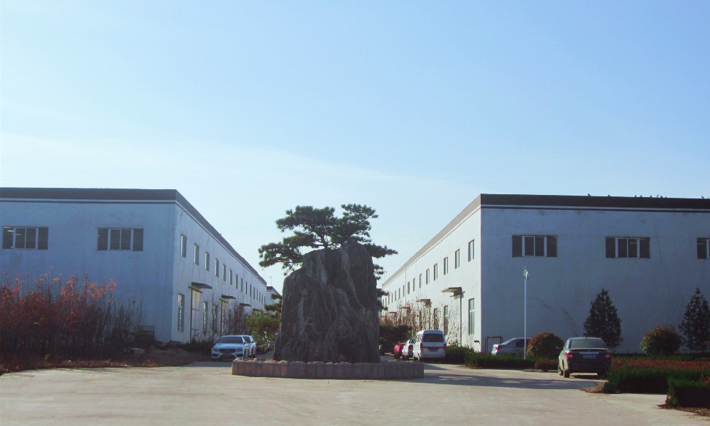 Sample Freely Provided Biaxially Oriented Polypropylene Transparent Holographic Film