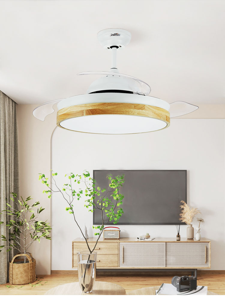 Modern Design Metal Acrylic LED Ceiling Fan with Hidden Blade and Color Crystal Light