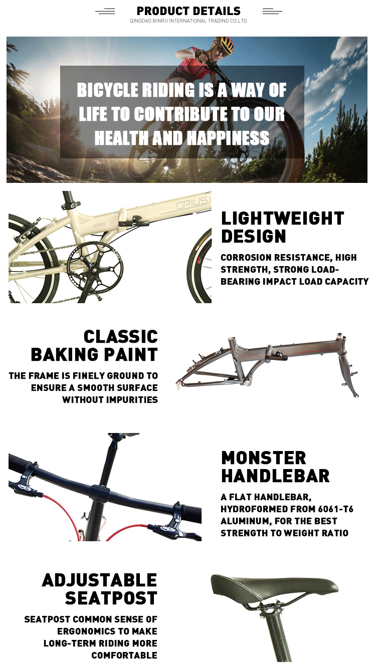 Racing Lightweight Folding Bike 20inch 9 Speed Master V with Aluminum Alloy Fork