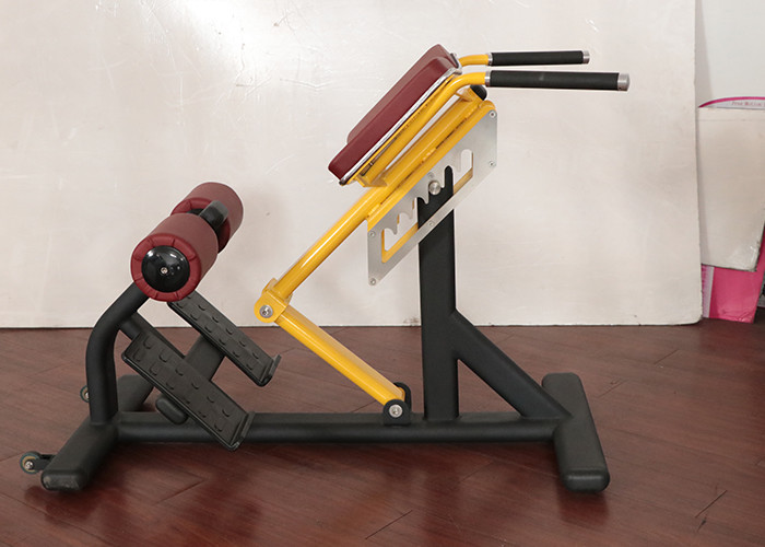 Customizable Ab Exercise Chair Plate Loaded 50kg Weight Soft Cushion