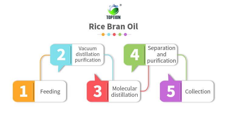  molecular distillation of rice bran oil