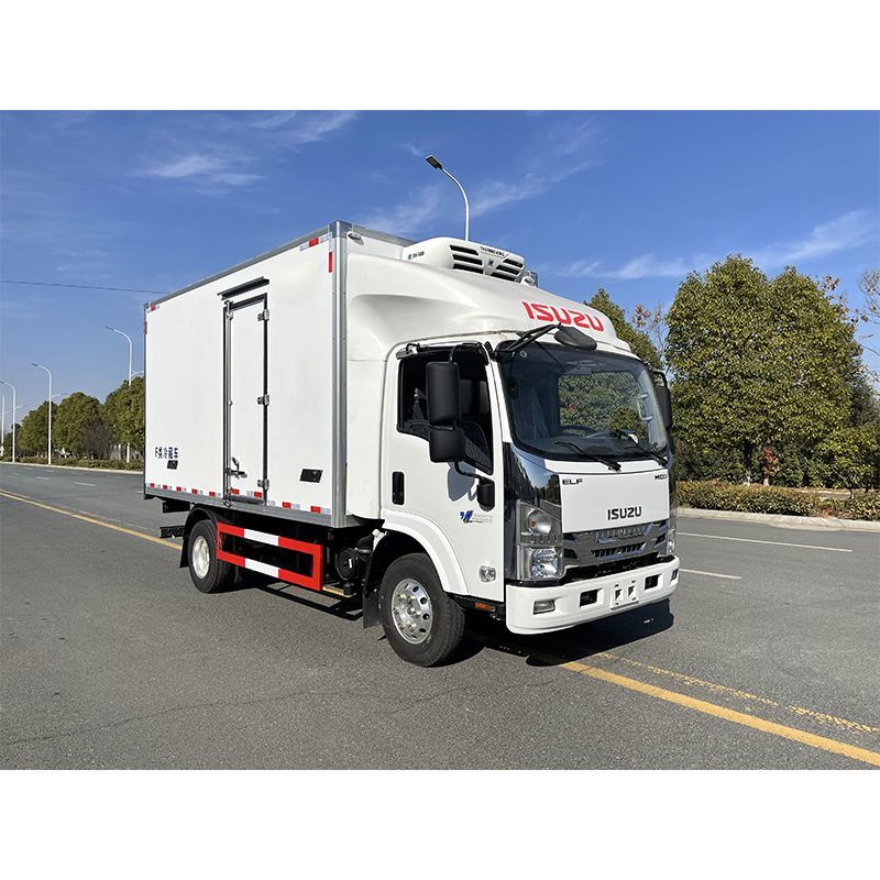 Refrigerated Cold Room Van Truck Refrigerator Box Truck Frozen Transportation