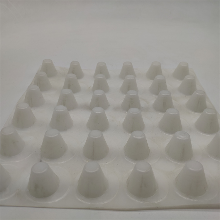 Plastic Composite Geonet for Slope Protection in Landfill Roadbed Drainage Solution