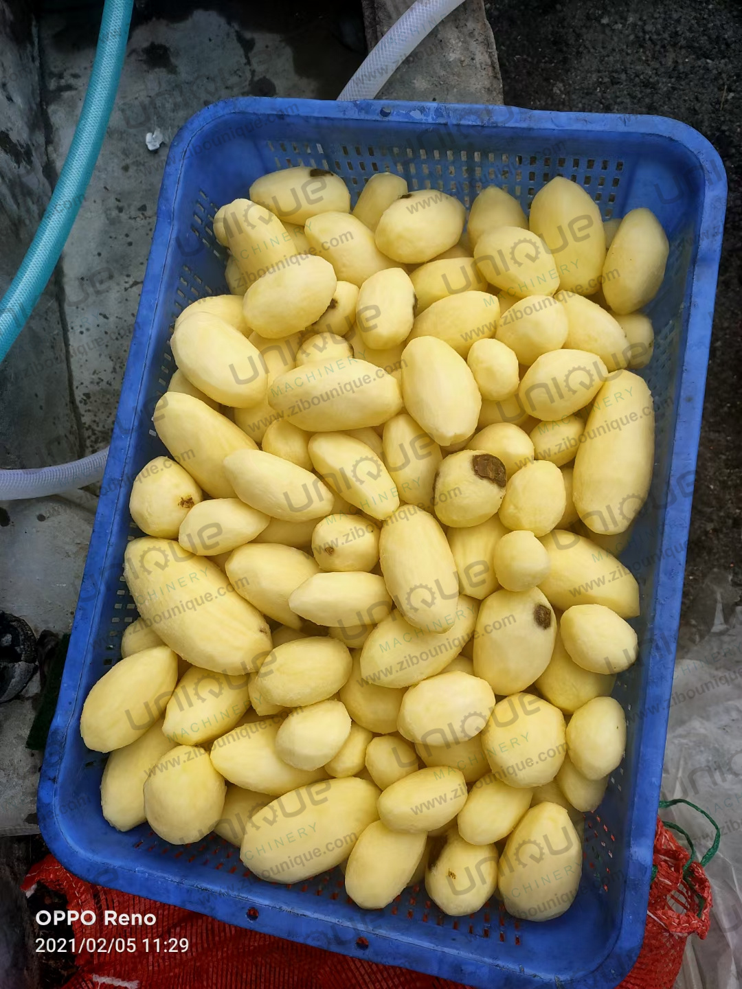 220V/380V/Customized Commercial Vegetable Peeling Machine for Root Vegetables Electric