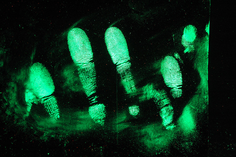 C111 Yellow fluorescent fingerprint powder