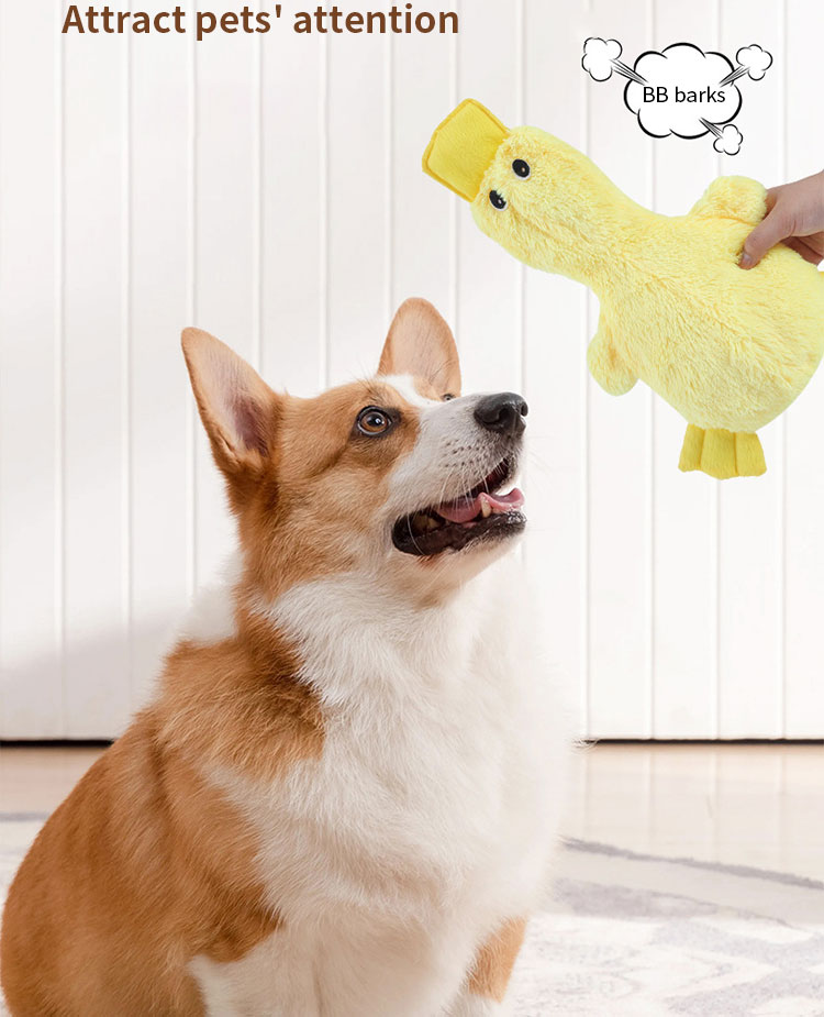 Duck Plush Dog Tooth High Durable Chengbei Cleaning Soft Squeaker Bite-Resistant