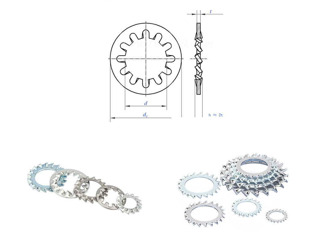 Grade 8.8 Spring Lock Washer M3 - M100 Internal Tooth Lock Washer