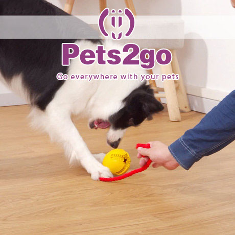 Teeth Cleaning Rubber 78X82mm Pet Chew Toys