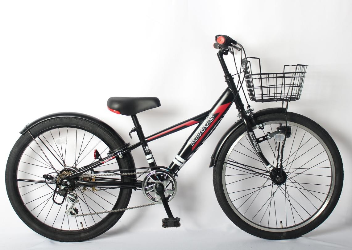 Aluminum Alloy 6 Speed MTB Mountain Bikes 20/22/24 Inch