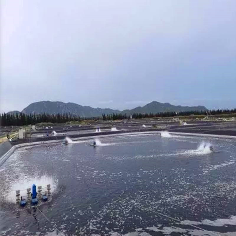LLDPE 0.5mm Geomembrane Water Storage Membrane for Durable Black Fish Pond Liners