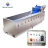 Buy cheap 240KG 380V Automatic stainless steel fruit washing machine fruit cleaning from wholesalers