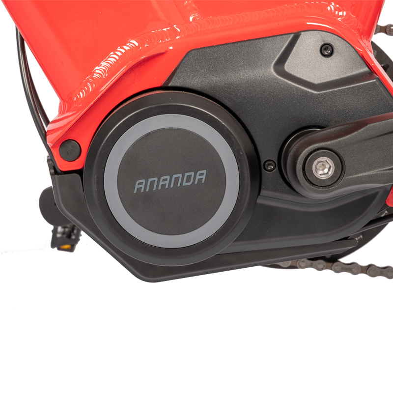Powerful 250w Electric City Bike with 10.5ah Hidden Battery and Aluminimum Alloy Frame