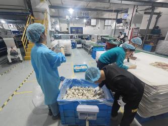 Hangzhou Jianjia Household Supplies Co.,Ltd.