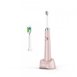China 800mAh IPX7 Pink Battery Operated Electric Toothbrush For Teeth Whitening on sale