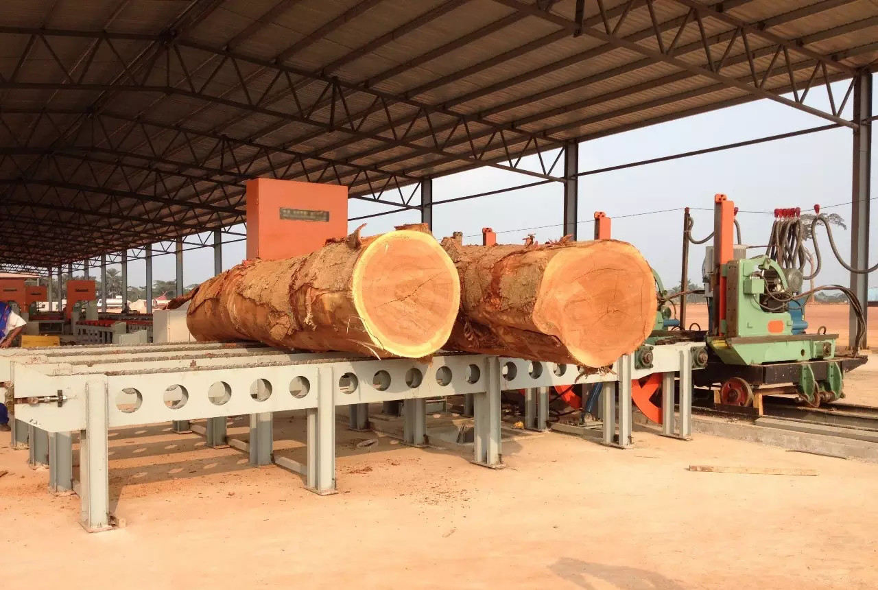 CNC Twin Vertical Band Saw sawmill equipment for cutting wood log into square timber