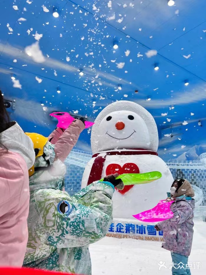 Create Stunning Snowy Landscapes with Focusun R404A Refrigerant Snow Making Equipment