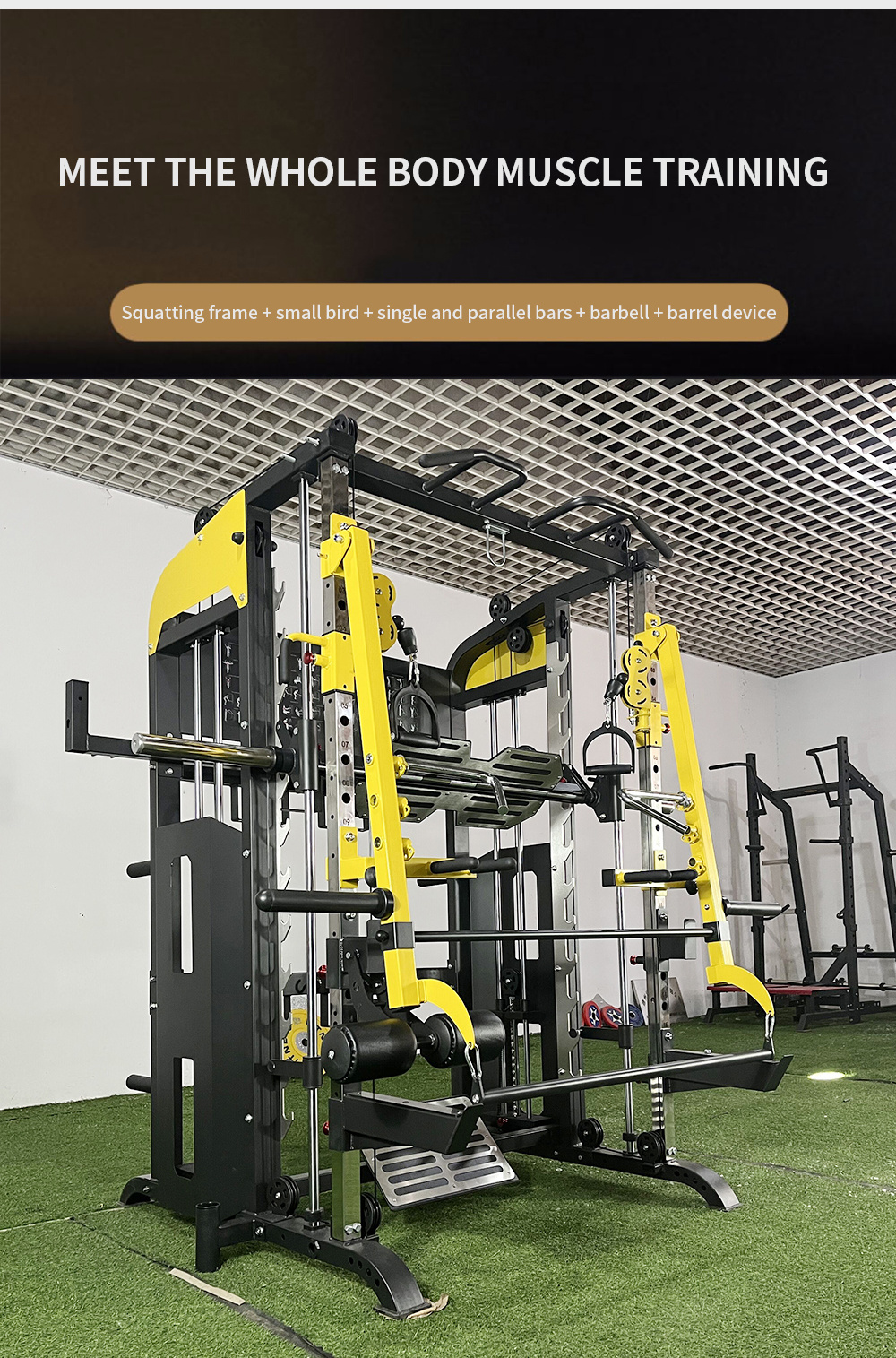 Top Fitness Bodybuilding Gym Equipment Multi-Functional Smith Machine