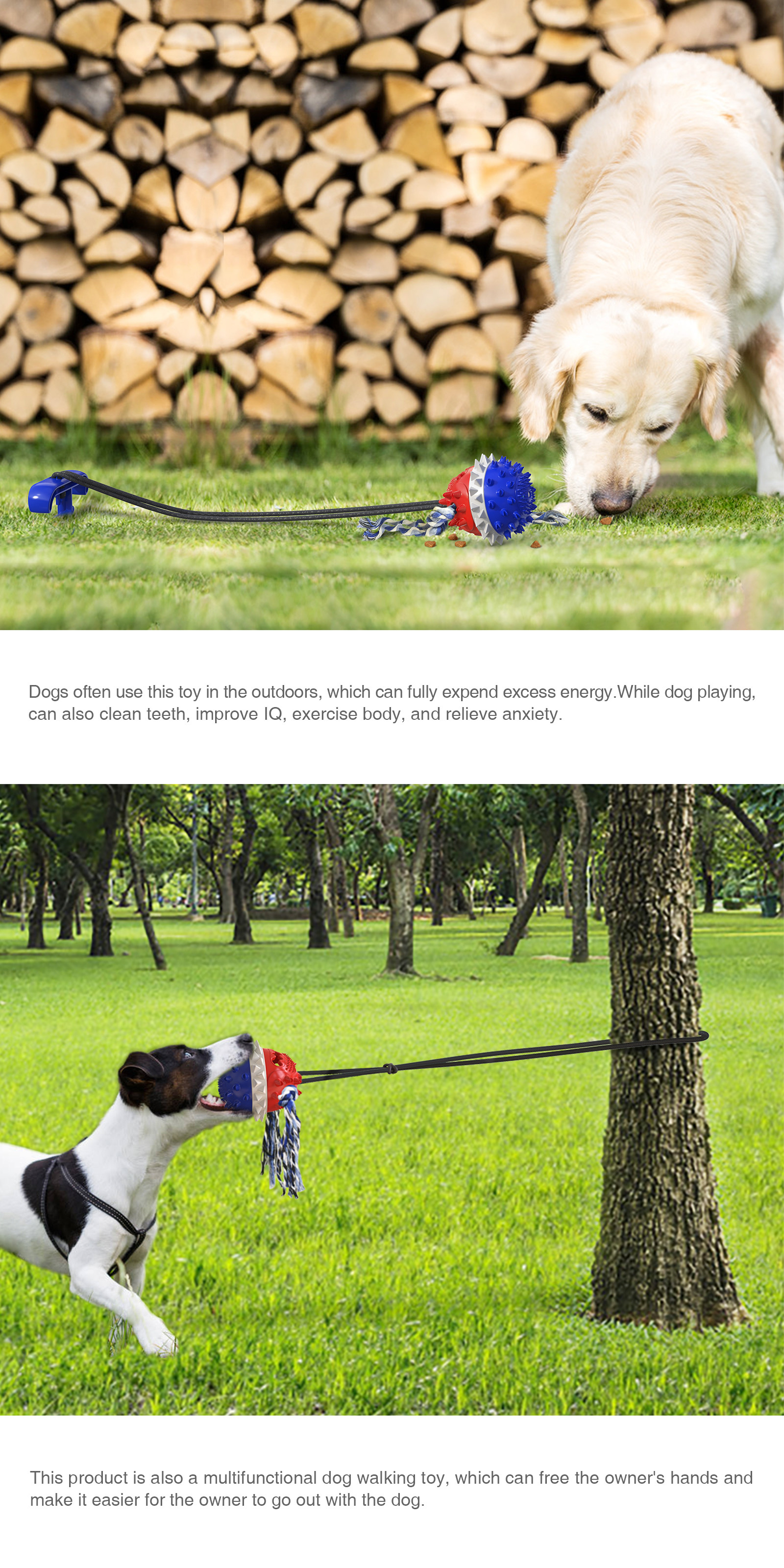 Indestructible Natural TPR Dog Molar Chew Toy Toothbrush Drawstring Ball Multifunctional