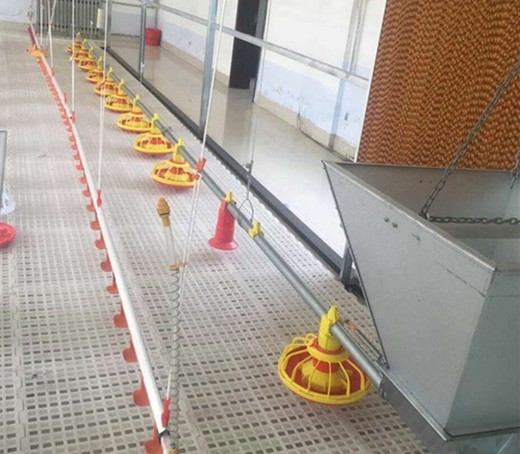 22ton 220V Auger Automatic Pan Feeding System Shed
