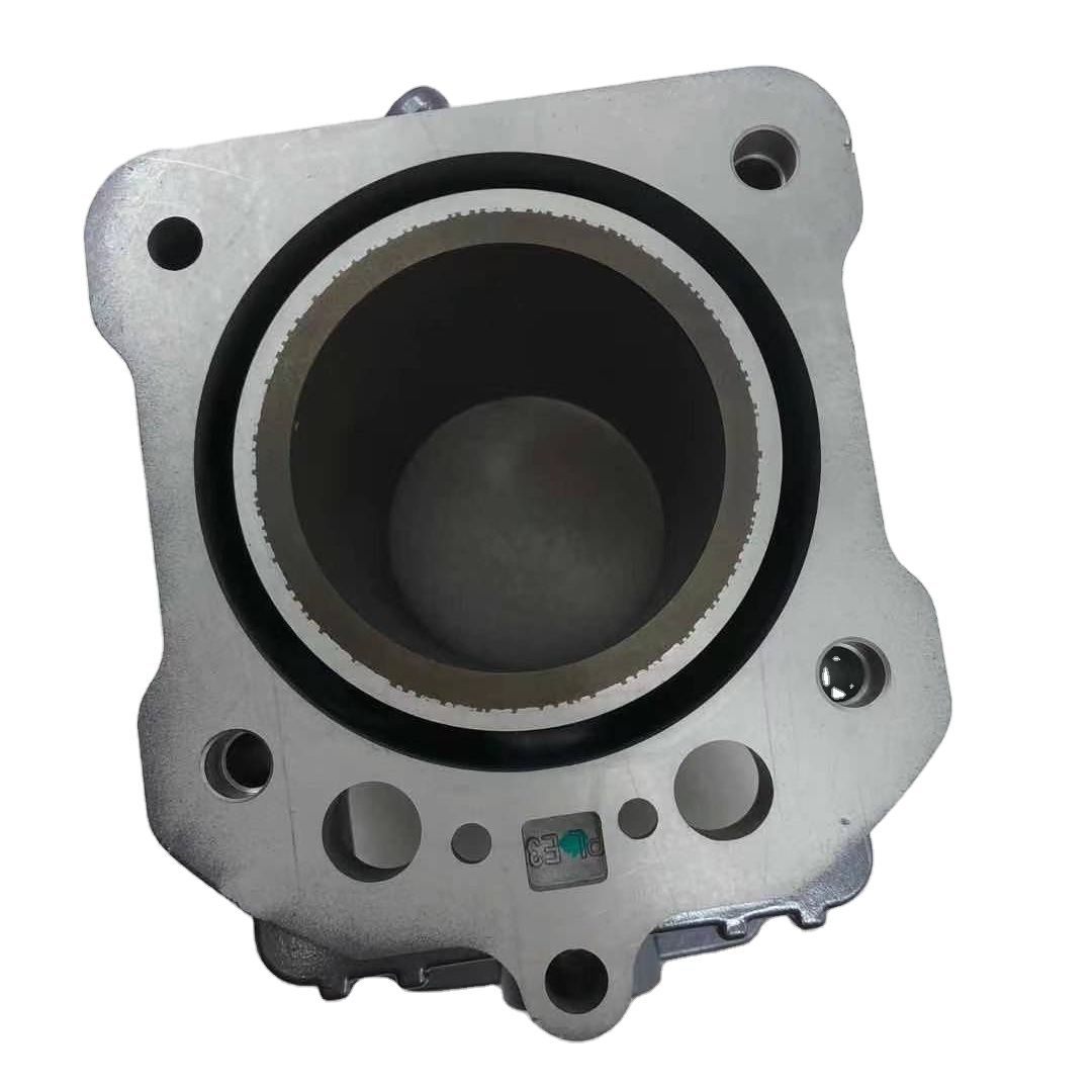 Motorcycle Engine Spare Parts Complete Cylinder Head for DAYANG CG250 Gasoline Engine