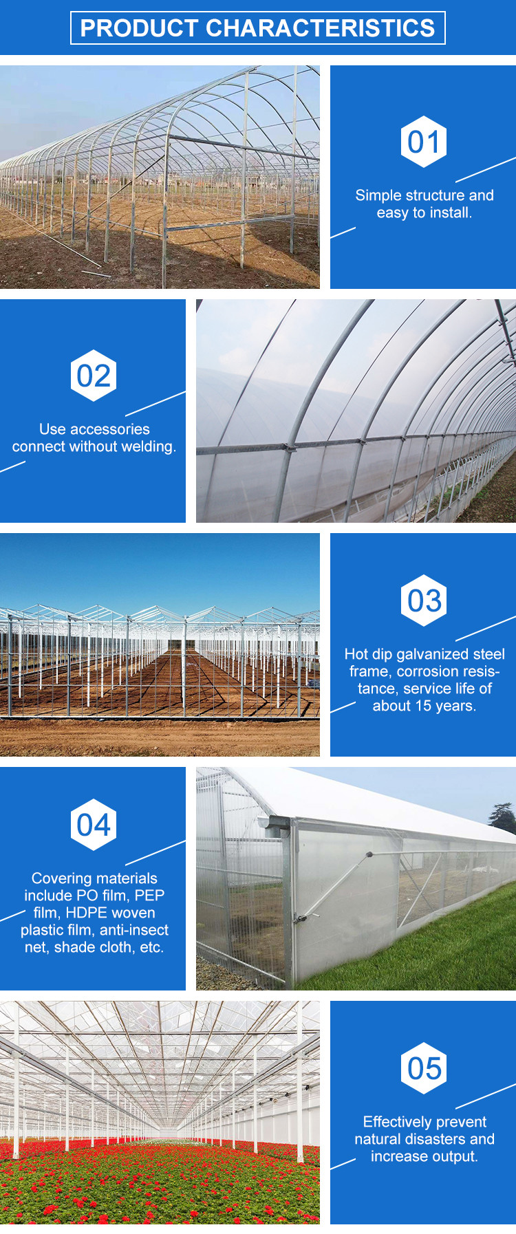 Garden Winter Cover Mushroom Solar Glass Greenhouse Multi Span Venlo Type Greenhouse