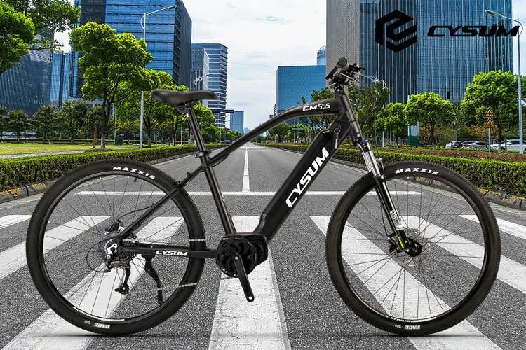 250w Mid Drive Mountain Electric Bikes Mens Mtb Ebike 29" 36v 14Ah