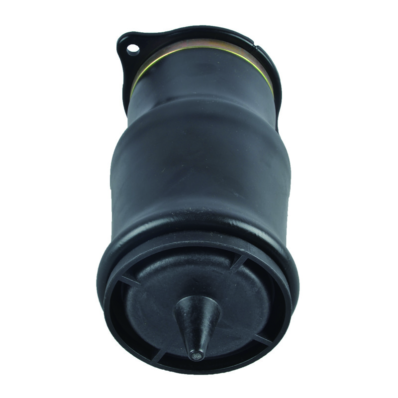 Auto Part Rear Air Suspension Spring For Mercedes Benz W639 OE 6393280101 6393280201