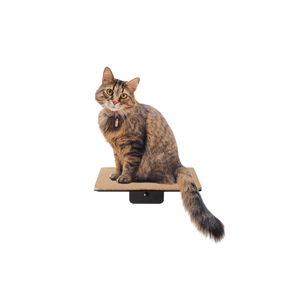 Stable Metal Wall Step Cat Stairs Create an Exciting Adventure Landscape for Your Cat