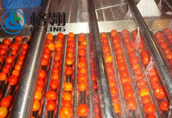 Customized 316l Automatic Tomato Paste Production Line 1-100ton Juice Production Line