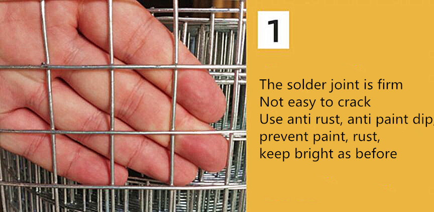 Stainless Steel Welded Wire Mesh Fence Panels 3.8mm 12 Gauge Wire Mesh Fencing