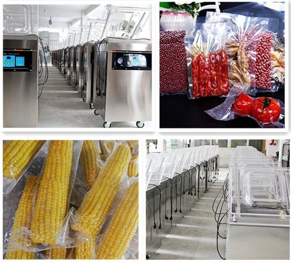 Mini Food Saver Vacuum Bag Sealer Electric Driven Type Single Chamber