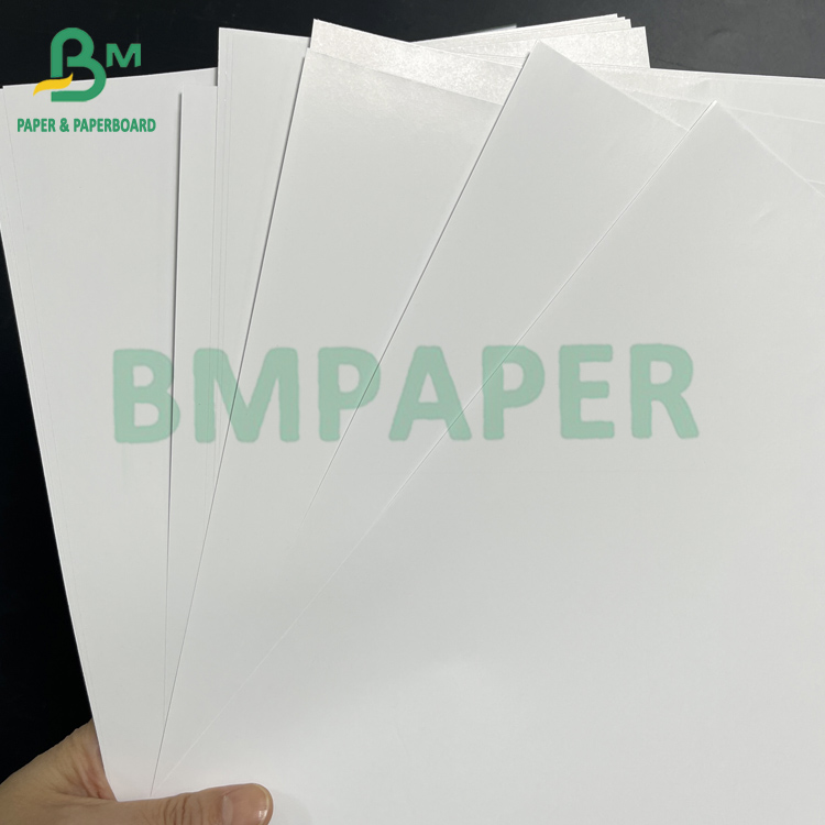 54" * 300ft 80gsm Good Ink Absorbing Glossy Coated C2S Text Paper