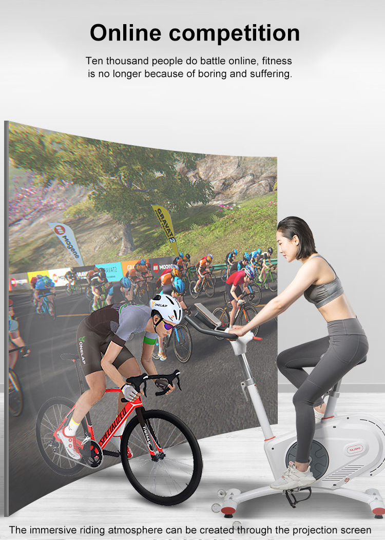 Get In Shape At Home Noiseless Indoor Gym Exercise Spinning Bike With Max Torque 32N