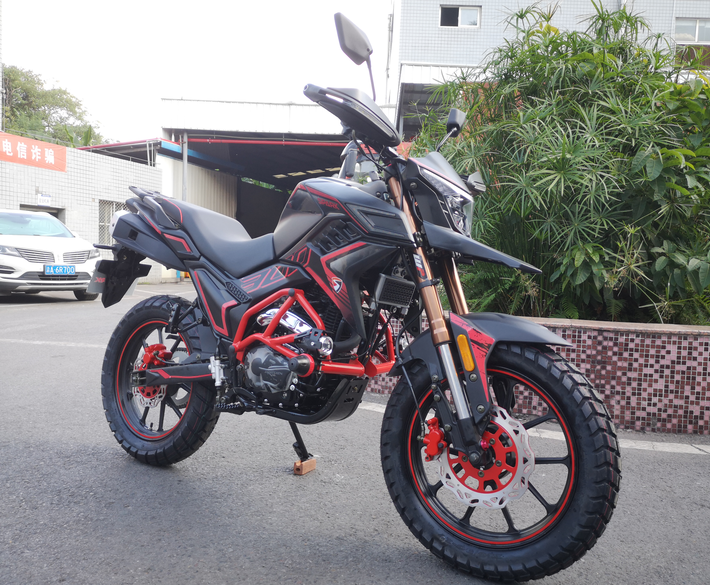 Gasoline Powered Racing Bike Motorcycle 250cc 300cc TEKKEN Motorcycle