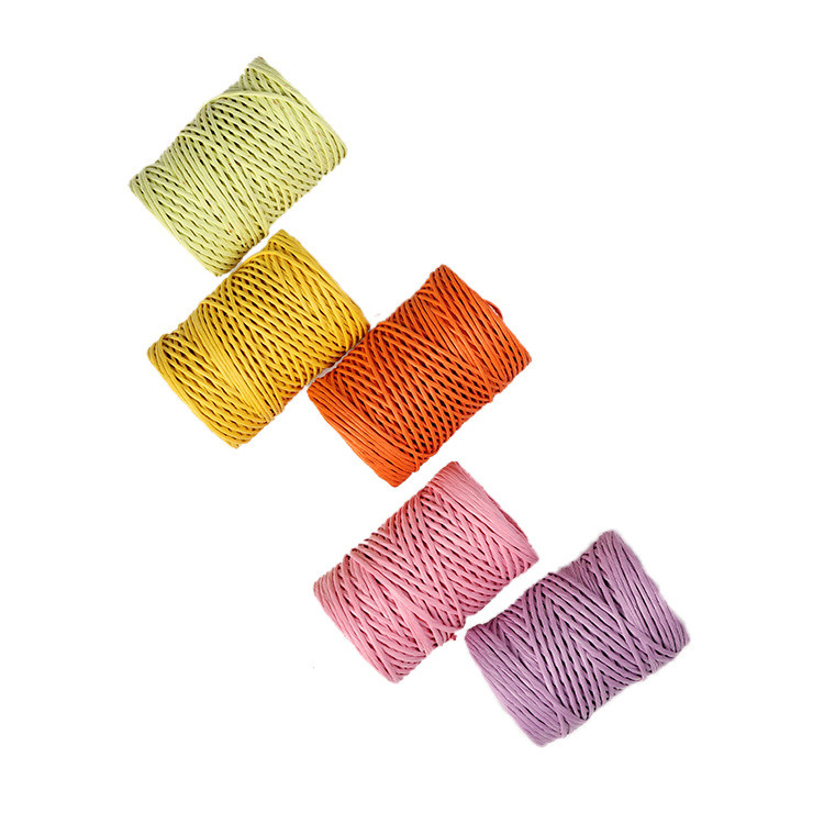 Iron Wired 2mm Paper Rope Eco DIY Twisted Paper Cord Biodegradable