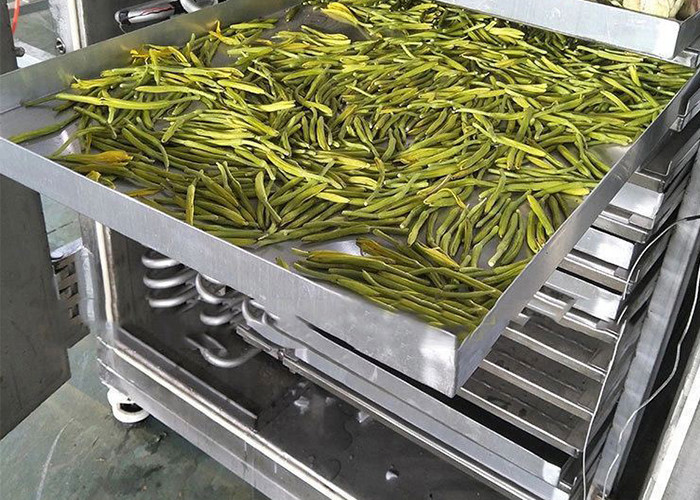 Dried Fruit Industrial Freeze Dryer Machine 200kg/batch