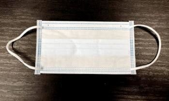 Non Medical Adults Disposable Earloop Face Mask