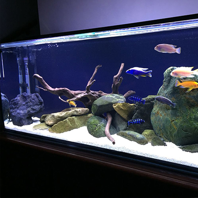 Custom Color 12mm Aquarium Acrylic Sheets Crystal Plexiglass Pmma Sheets