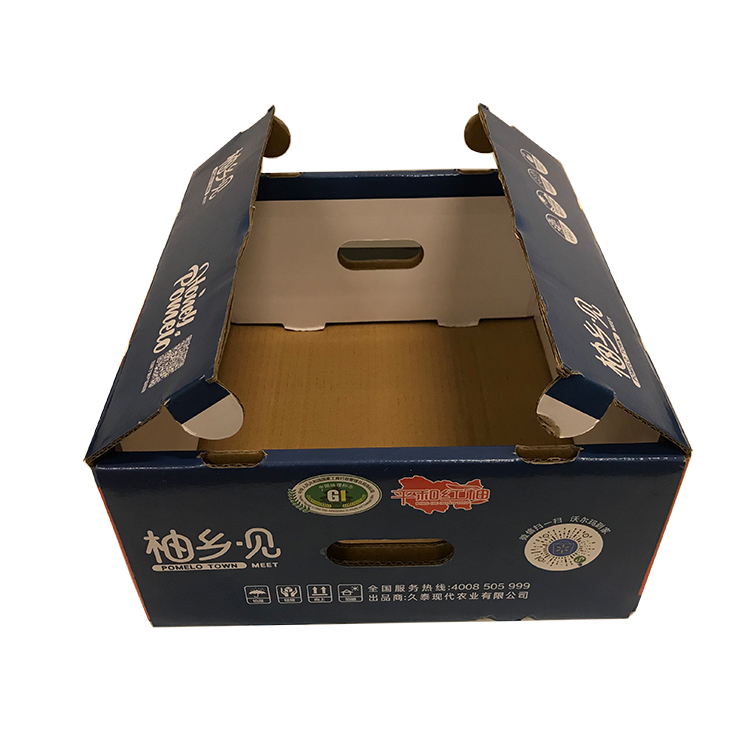 Collapsible Fruit Corrugated Cardboard Box With Handle Portable