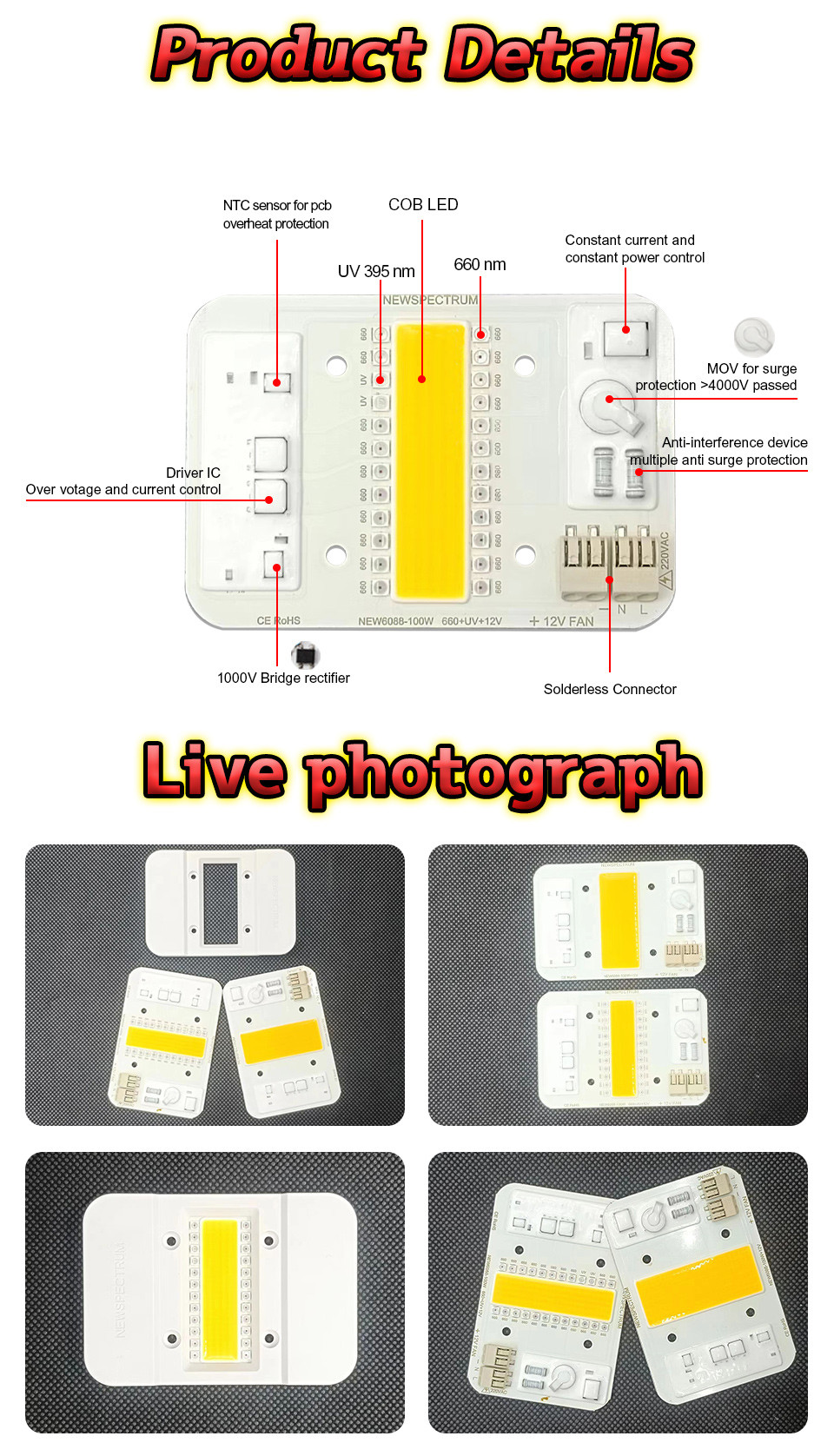 60mm High Power Cob