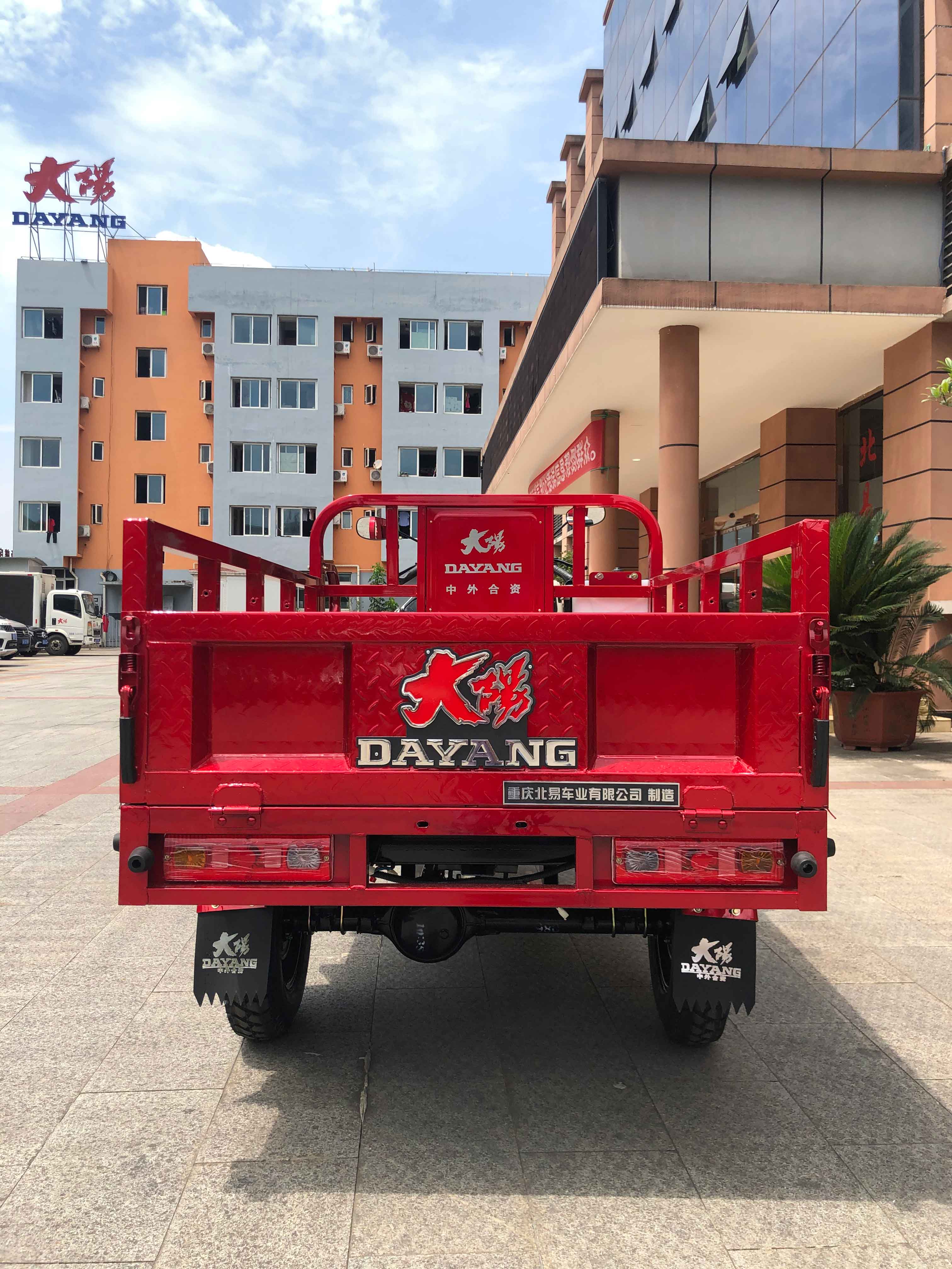 DAYANG DY5 150 200 250CC Gasoline Engine Cargo Tricycle for Heavy Load Transportation