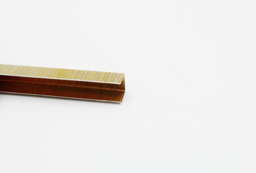 Top-Rated 14 Series Galvanized Industrial Wire Staples 20 Gauge with High Quality 1410
