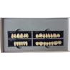 Buy cheap Dentistry Dental Acrylic Resin Teeth A2 A3.5 Dental Acrylic Polymer False Teeth from wholesalers