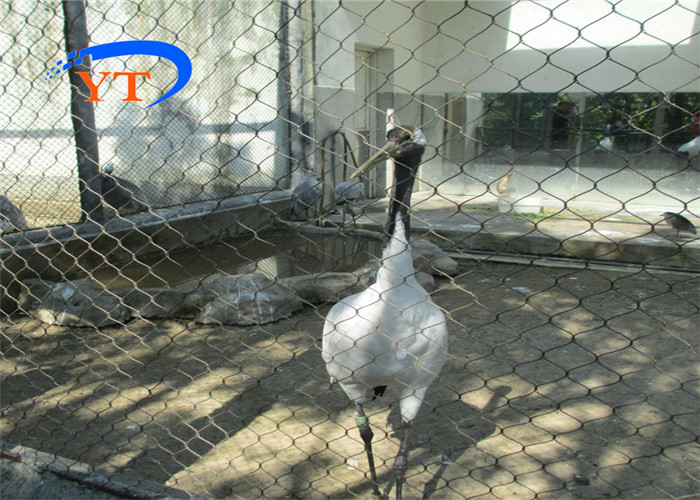 SS304 SS316 Bird Netting Mesh
