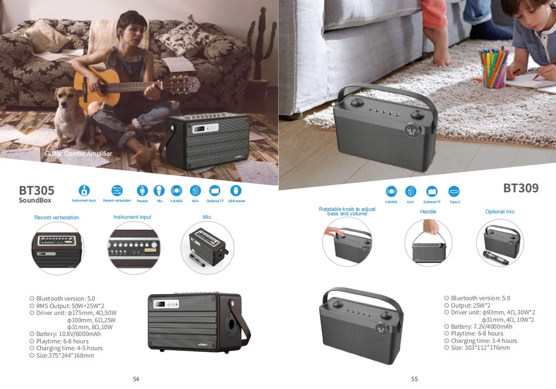 60W Waterproof IPX5 Bluetooth Wireless Speaker with TWS, DSP, TF Card, Equalizer & Subwoofer