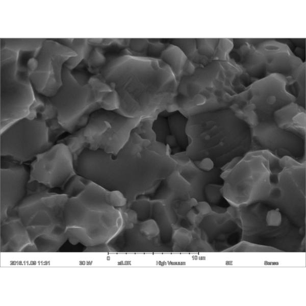 Magnification Max 150000X Scanning Electron Microscope 5nm Resolution EDS BSE